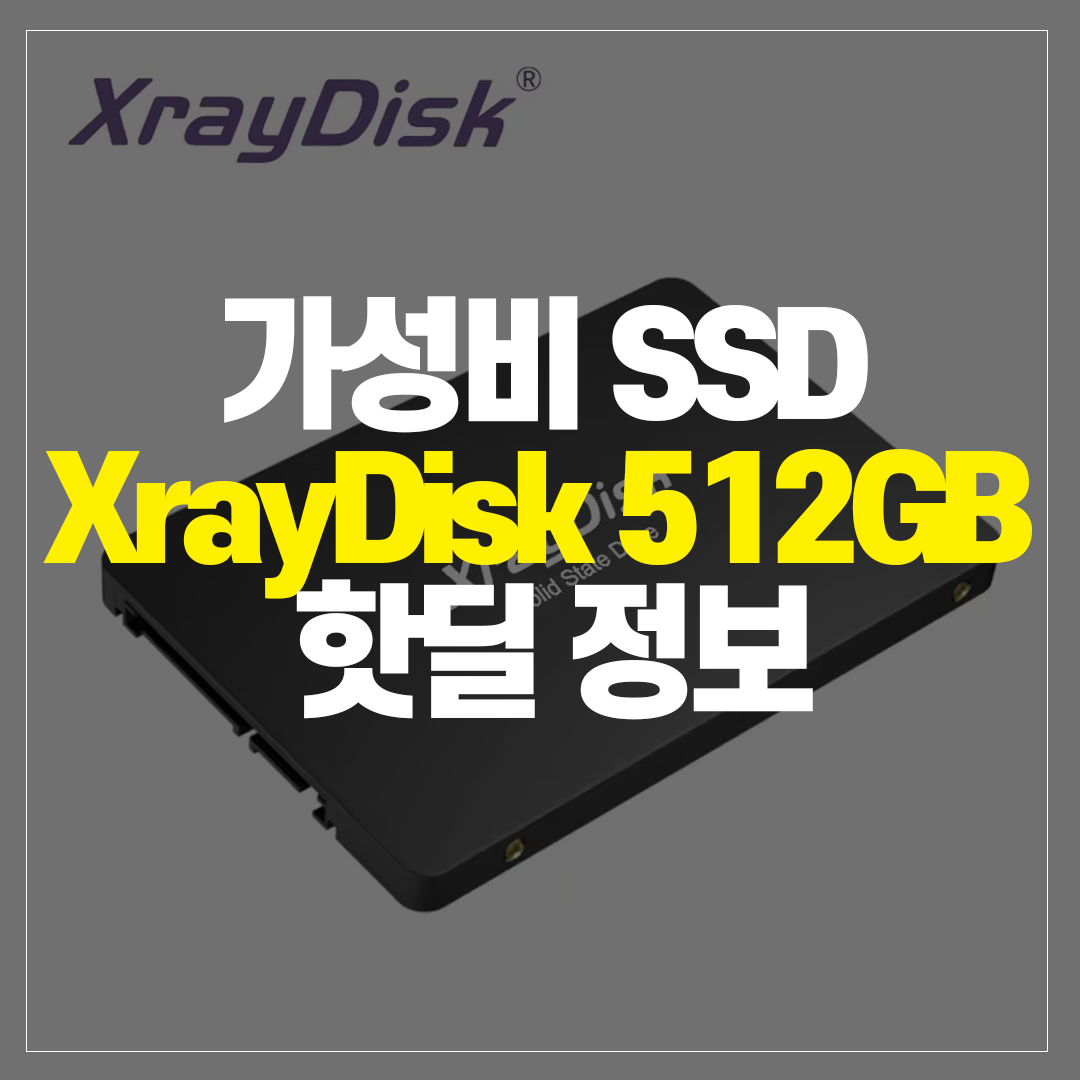 가성비 XRAY